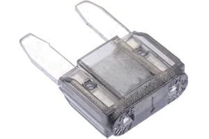 Switch Electronics 1A Mini Automotive Blade Fuse Pack Auto Automotive Ricambio Auto Auto Hobby DIY (confezione da 10)