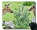 Produktbild Gaming Mouse Pad Design, Red Deer Jugend Hirsch - Genähte Kanten
