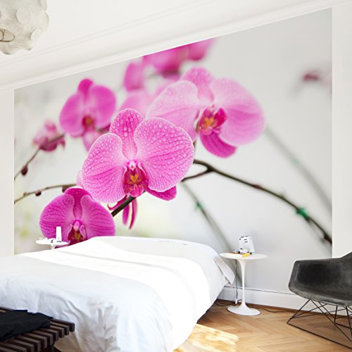 Vliestapete – Nahaufnahme Orchidee – Fototapete Breit Vlies Tapete Wandtapete Wandbild Foto 3D Fototapete, Größe HxB: 225cm x 336cm - 4