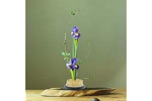 Sorand Kenzan Redondo, Arreglo Floral Redondo Pin Ikebana Kenzan Decoración de Flores Herramienta de organización Fija para Club/Jardín/Hotel/Decoración del hogar(Dia. 40mm)