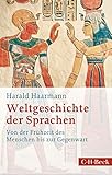 Weltgeschichte der Sprachen: Von der Frühzeit des Menschen bis zur Gegenwart by Harald Haarmann