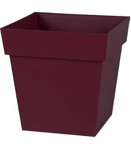 Soucoupe Carrée Toscane 32.6cm - Pour Pots De Fleur Carrés EDA - Vert Laurier, 4.9cm H