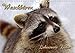 Produktbild Waschbären (Wandkalender 2019 DIN A4 quer): Liebenswerte Räuber (Monatskalender, 14 Seiten ) (CALVENDO Tiere)