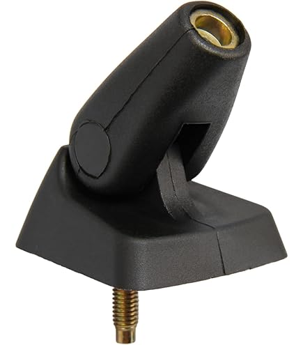 Antenne De Toit Pour Dacia Logan, Lodgy, Duster, Sandero – Tige 44 Cm, Câble 2 M, Inclinaison 90°