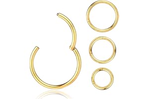 WHATOOK 16G Nose-Rings-Hoop-Body-Piercing-Ring,Surgical Seamless Stainless Steel Hinged Clicker Eyebrow Septum Lip Belly Button Piercing Hoop,6mm 8mm 10mm 12mm 4 Pcs Segment Ring Unisex Earrings Body Jewelry Set