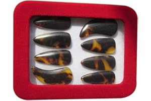 Toyvian 1 Set Zither Nail Professional Plastic Zither Groove Finger Picks Guzheng Practicing Fingernail Replacement for Kids Adults (Large)