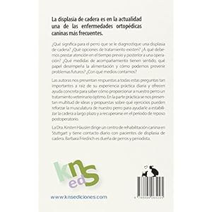 La displasia de cadera en perros: Una guía práctica