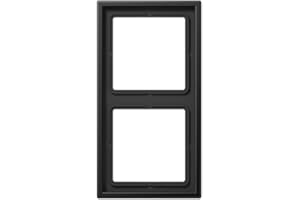Jung AL 2982 D Cadre Double série LS Dark