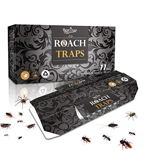 BestTrap - Juego de 11 trampas para cucarachas con Cebo Incluido, Trampa de Pegamento Premium, Respetuoso con el Medio Ambiente, no tóxico, para arañas, Hormigas y cucarachas