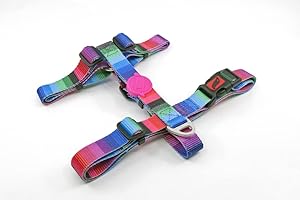 ASTORPET | Arnés Tipo H para Perro. con Cierre de Seguridad y Presilla Cosida. Accesorios para Perros, Ajustable de Tacto Suave. Arnés Perro Tailpetz. Wave - Talla L