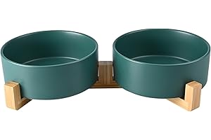 SPUNKYJUNKY Cuenco Doble de cerámica para Perros con Soporte de bambú para Perros Grandes (1800 ml, Verde x 2)