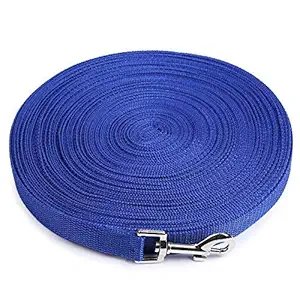 RvPaws Nylon Dog Training Lead Long Rope Webbing Recall Obedience Line Leash for Pet Flat Leash 1 Inch (Blue, 3 M/10 Feet)