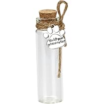 Bouteilles Commémoratives Pour Animaux | Lot De 6 En Verre (5,6,7 Cm) | Pendentif Patte/aile/cœur | Pour Cendres Ou Poils - 9
