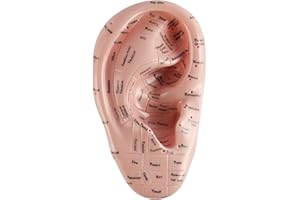 Laroal 17cm Ear Acupoint Display Model PVC Soft Ear Acupoint Model for Ear Anatomy Study and Laboratory Use