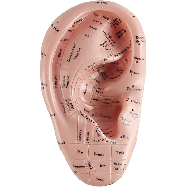 Auriculotherapy Manual: Chinese and Western Systems of Ear