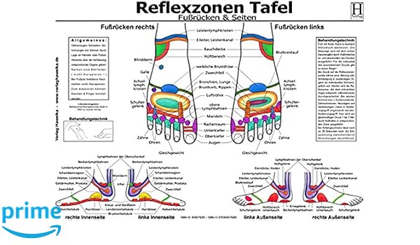Fussreflexzonen Tafel Fussrucken Seiten Din A3 Amazon Co Uk