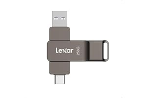 Lexar D40E 256 GB Dual Drive USB 3.2 Gen 1 Type-C Jump Drive, USB-C Flash Drive, Metallgehäuse, schwenkbares Design, Thumb Drive, Kompatibel mit iPhone 17,Titangrau