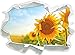 Produktbild Sonnenblumen Sonnenblumenfeld Sonnenblumenkerne Sonnenschein , Papier 3D-Wandsticker Format: 62x45 cm Wanddekoration 3D-Wandaufkleber Wandtattoo