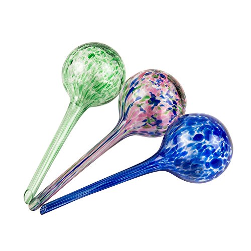 RayMoon Set of 3 Glas Pflanzgefäß Bewässerungskugeln Wasserspender