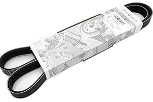 Volkswagen Original VW Ersatzteile VW Keilrippenriemen (Golf 5 GTI)