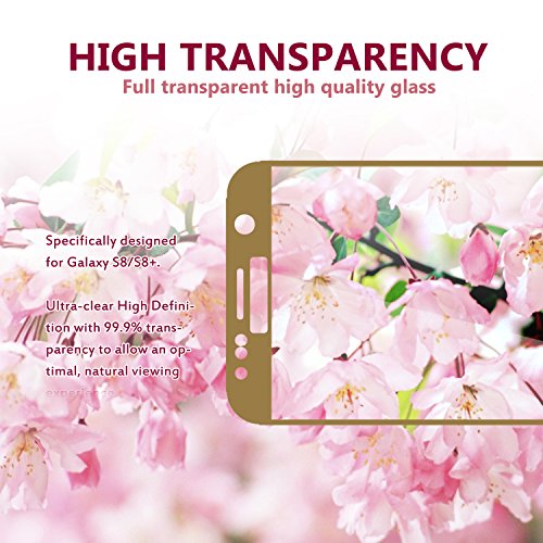 danteng Galaxy tanque S8  Cristal protector de pantalla