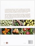 Image de Manuale di ortofrutticoltura. Innovazioni tecnologiche e prospettive di mercato