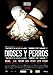 Dioses Y Perros