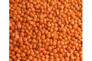 Soleilfood Rote Linsen 10 kg Red Lentils Mercimek Hülsenfrüchte feinste Qualität