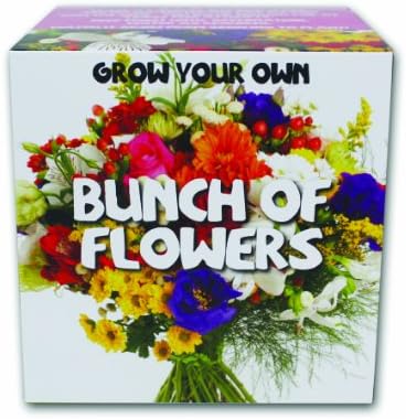 Gift Republic GR330019 Grow Your Own Bunch of Flowers