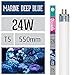 Produktbild Arcadia Marine Deep Blue 24 Watt Lampe T5 TL5 Aquarium Meerwasser Leuchtstofflampe