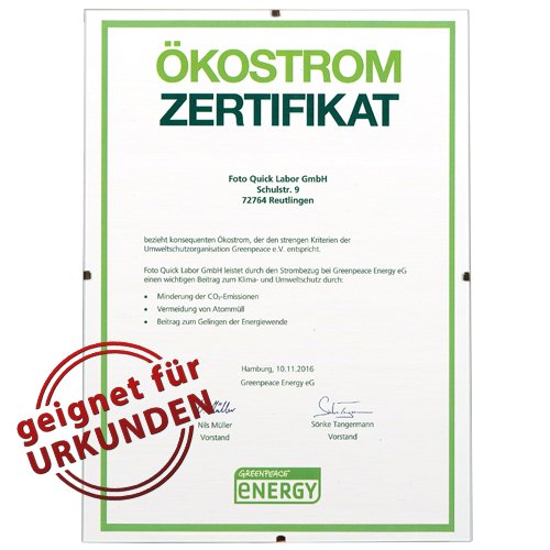 Bilderrahmen rahmenlos | Din A 4 Rahmen für Urkunden und Bilder | Glasrahmen 21cm x 29 - 3