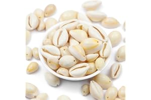 YIEUR 400 perline di conchiglia naturali con foro da infilare, beige, a spirale, per fai da te, da 12 a 13 mm, per gioielli fai da te o deco, conchiglie artigianali (B)