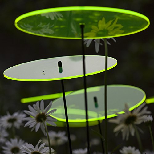 SUNPLAY „Sonnenfänger-Scheiben“ in GRÜN, 3 Stück je 20 cm Durchmesser im Set + 70 cm Schwingstäbe - 3