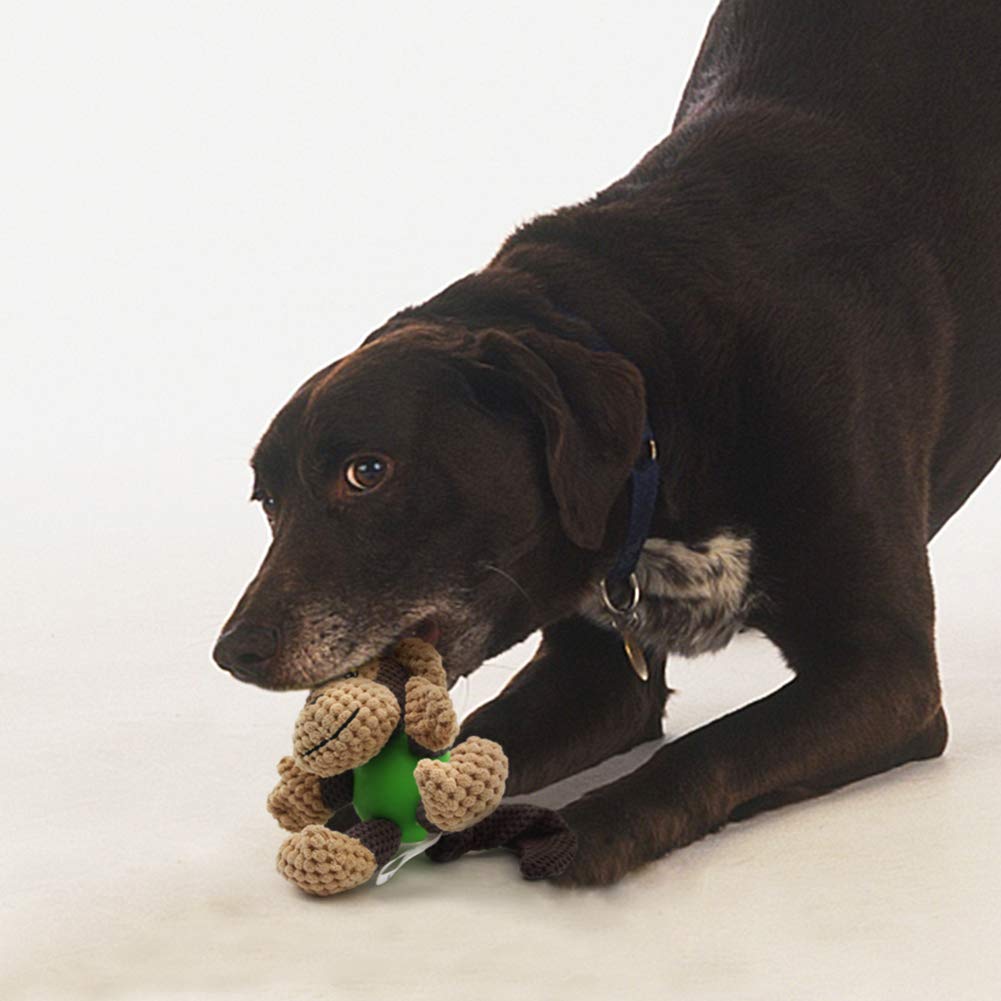 peluche resistenti per cani