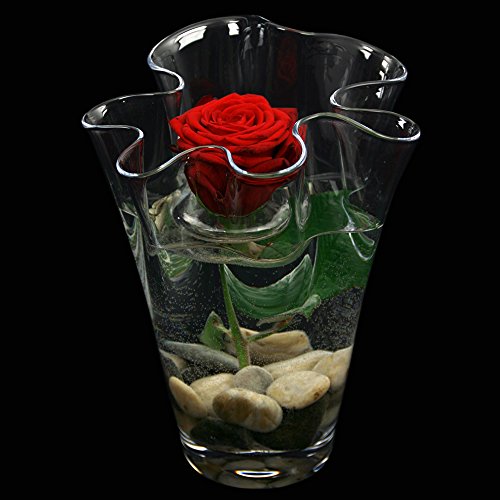 3 x Blütenring aus Klarglas für frische Blütenköpfe. Abstandhalter für frische Blumen.Maße Ø 7,5cm von Glaskönig - 5