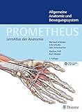 Image de PROMETHEUS Allgemeine Anatomie und Bewegungssystem: LernAtlas der Anatomie