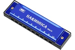 Offcup Harmonijka diatoniczna, 10 otworów, bluesa, 40 tonów, diatoniczna w Do, harmonijka z torbą do przechowywania dla początkujących, dzieci, studentów, dorosłych, najlepszy prezent, niebieska
