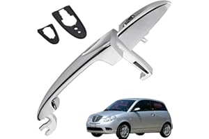 Ruolin Maniglia Della Portiera Esterna dell'Auto Sostituzione per Lancia Ypsilon 2003-2011, Sinistra