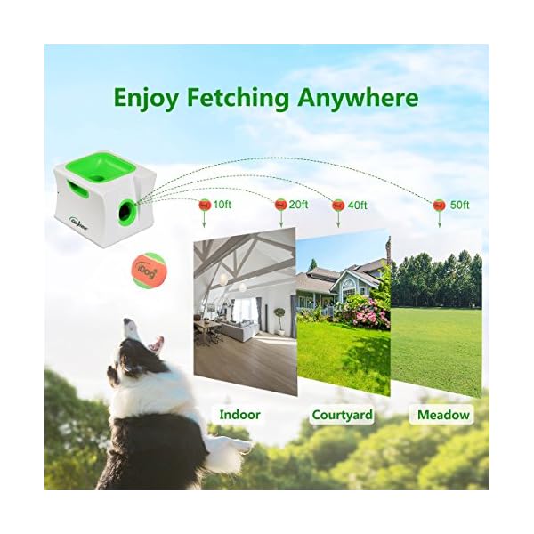 iDogmate Big Dog Ball Launcher, Interactive & Automatic Ball Launcher