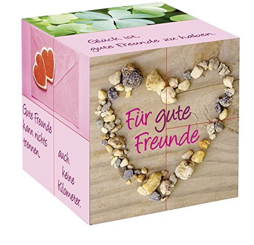 Cover zum Buch Wunschwürfel "Für gute Freunde"