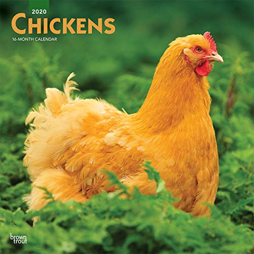 Télécharger Kindle livres à iPad gratuitement Chickens 2020 Calendar by author 1975406966 ePub