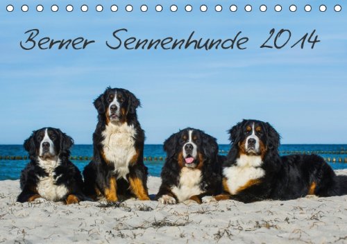 Download Berner Sennenhund 2014 (Tischkalender 2014 DIN A5 quer): Kalender Berner Sennenhunde 2014 (Tischkalender, 14 Seiten) Download Berner Sennenhund 2014 (Tischkalender 2014 DIN A5 quer): Kalender Berner Sennenhunde 2014 (Tischkalender, 14 Seiten)
