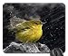 Produktbild rain-birds Mouse Pad, Mousepad (Birds Mouse Pad)