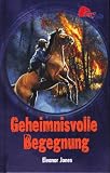 Cover zum Buch Geheimnisvolle Begegnung