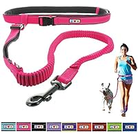 [Gesponsert]Pawtitas Reflektierende, gepolsterte, Antischock-Outdoor-Trainingsleine zum freihändigen Laufen mit dem Hund Rosa Farbe