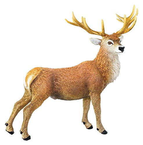 Red Deer Stag