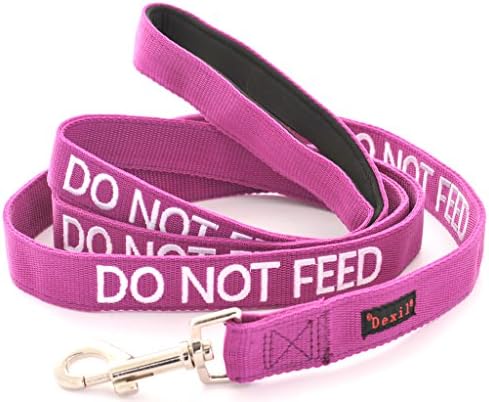 DO NOT FEED (Dog is on a Diet/Has Food Allergies) Purple Colour Coded 60cm 1.2m 1.8m Luxury Neoprene Padded Handle Dog Leads PREVENTS Accidents By Warning Others Of Your Dog In Advance (1.2m)