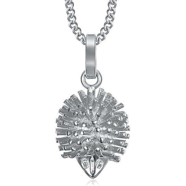 Pendentif Roue Des Voyageurs Gitan Femme Enfant - Acier Inoxydable Argenté Faux Diamant Chaîne 45cm