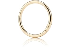 QIUTIMIY 15 Stück Rund Karabinerring O-Ring,Metall Runde Federspaltringe für Handtaschen, Schlüsselanhängern, Schnallen, Taschen, Geldbörsen(Gold,19mm)