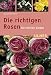 Produktbild Die richtigen Rosen für meinen Garten (Ulmer Taschenbücher)